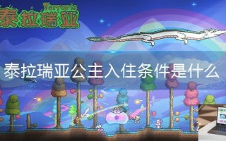 泰拉瑞亚公主入住条件是什么