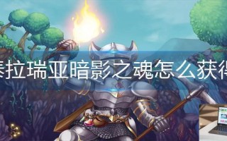 泰拉瑞亚暗影之魂怎么获得