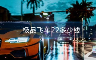 极品飞车22多少钱