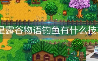 星露谷物语钓鱼有什么技巧