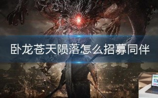 卧龙苍天陨落怎么招募同伴