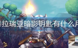 泰拉瑞亚暗影钥匙有什么用