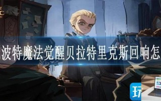 哈利波特魔法觉醒贝拉特里克斯回响怎么玩
