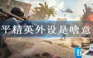 和平精英外设是啥意思
