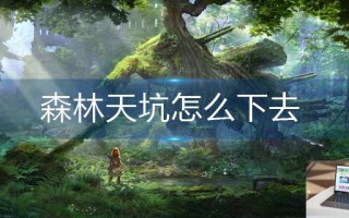 森林天坑怎么下去
