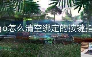 csgo怎么清空绑定的按键指令
