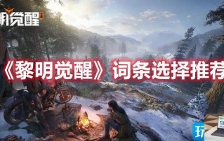 黎明觉醒词条怎么选