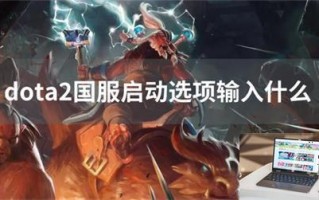 dota2国服启动选项输入什么