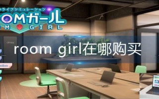 room girl在哪购买