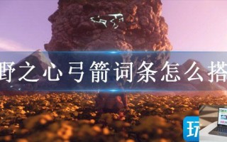 狂野之心弓箭词条怎么搭配