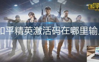 和平精英激活码在哪里输入 和平精英激活码在哪里输入