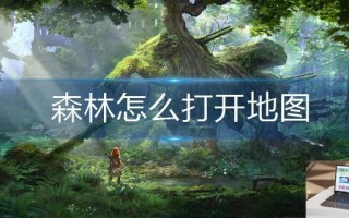 森林怎么打开地图