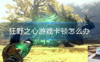狂野之心游戏卡顿怎么办 狂野之心游戏卡顿怎么办