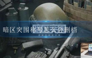 暗区突围称号怎么会删档