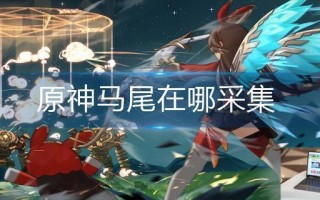 原神马尾在哪采集