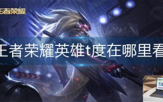 王者荣耀英雄t度在哪里看