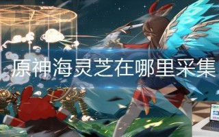 原神海灵芝在哪里采集