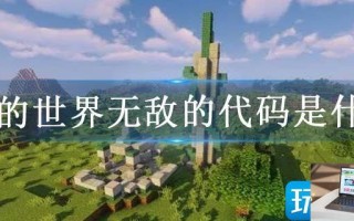 我的世界无敌的代码是什么
