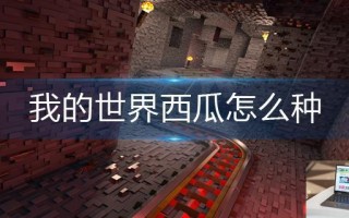 我的世界西瓜怎么种