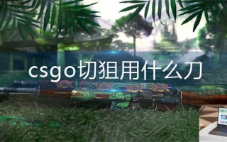 csgo切狙用什么刀