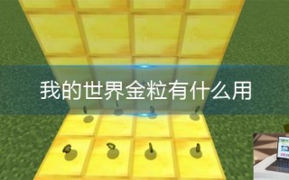 我的世界金粒有什么用