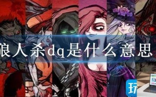 狼人杀dq是什么意思