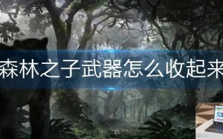 森林之子武器怎么收起来