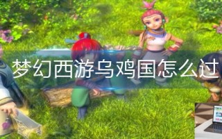 梦幻西游乌鸡国怎么过