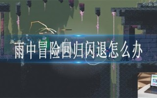雨中冒险回归闪退怎么办