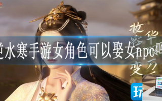 逆水寒手游女角色可以娶女npc吗