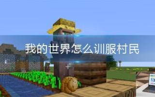我的世界怎么训服村民