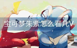宝可梦朱紫怎么看几V