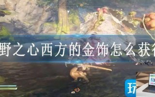 狂野之心西方的金饰怎么获得 狂野之心西方的金饰怎么获得