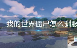 我的世界僵尸怎么驯服
