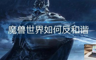 魔兽世界如何反和谐