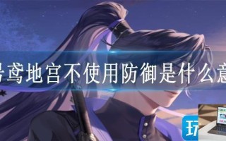 代号鸢地宫不使用防御是什么意思
