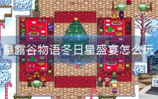 星露谷物语冬日星盛宴怎么玩