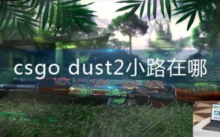 csgo dust2小路在哪