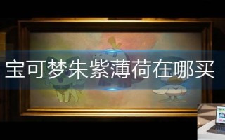 宝可梦朱紫薄荷在哪买