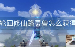 轮回修仙路灵兽怎么获得