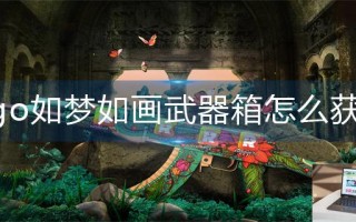 csgo如梦如画武器箱怎么获得