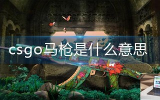 csgo马枪是什么意思