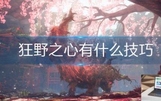 狂野之心有什么技巧