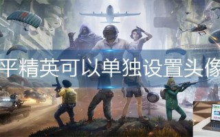 和平精英可以单独设置头像吗