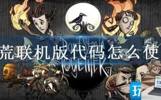 饥荒联机版代码怎么使用