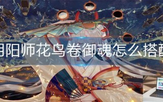 阴阳师花鸟卷御魂怎么搭配2022