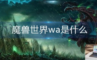 魔兽世界wa是什么