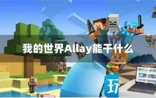 我的世界allay能干什么