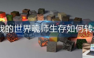 我的世界魂师生存如何转生