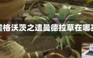 霍格沃茨之遗曼德拉草在哪买